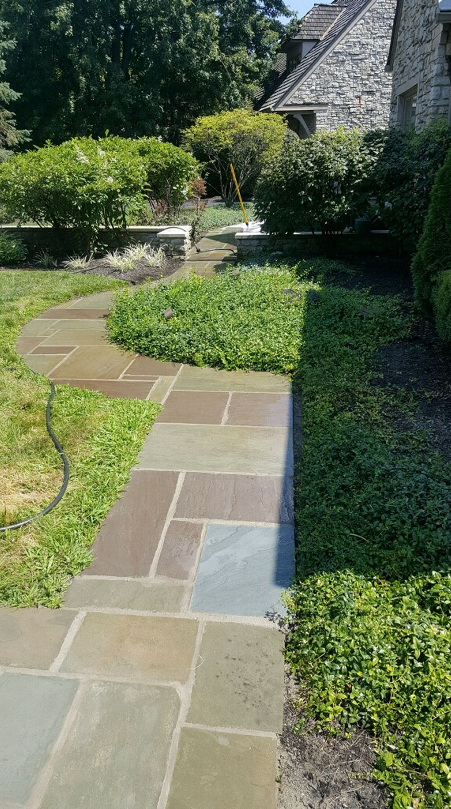 Bluestone path through a manicured garden